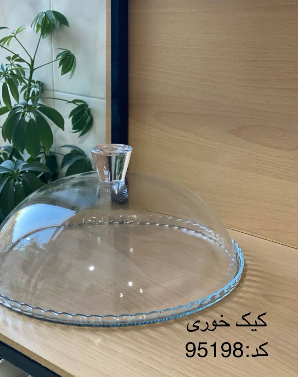 کیک خوری بی پایه پاشا باغچه کد: 95198